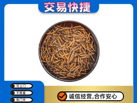 大同左云县高价回收散虫草